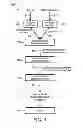Fig. 06 - Report viewer using radiological descriptors