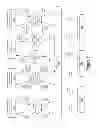 Fig. 07 - Automating Management of Social Media Data
