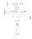 Fig. 05 - Determining object relevance in a social networking system