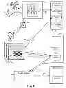 Fig. 09 - Internet streaming and the presentation of dynamic content