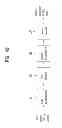 Fig. 45 - Apparatus for transmitting and receiving a signal and method of transmitting and receiving a signal