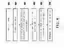 Fig. 07 - METHOD OF DISPLAYING MUSIC LYRICS AND DEVICE USING THE SAME