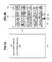 Fig. 04 - INFORMATION PROCESSING APPARATUS, METHOD FOR CONTROLLING THE SAME, AND STORAGE MEDIUM