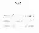 Fig. 02 - METHOD AND APPARATUS FOR COMBINING ROBOT SOFTWARE COMPONENTS