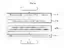Fig. 06 - APPARATUS AND METHOD FOR RECEIVING SATELLITE BROADCAST
