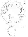 Fig. 02 - GATEWAY DEVICE, SYSTEM AND METHOD