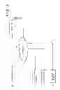 Fig. 02 - Receiver, reception method, transmitter and transmission method