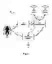 Fig. 06 - Method and apparatus for recognizing image content
