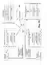 Fig. 02 - Conference data management