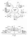 Fig. 02 - Social authentication of users