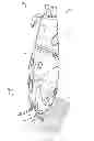 Fig. 04 - Steam appliance