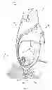 Fig. 05 - Steam appliance