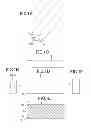 Fig. 02 - Erasing member and erasing tool using the same