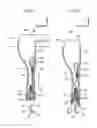 Fig. 03 - Seatbelt buckle structure