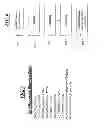 Fig. 04 - COLD ROLLED MOTOR LAMINATION ELECTRICAL STEELS WITH REDUCED AGING AND IMPROVED ELECTRICAL PROPERTIES