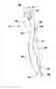 Fig. 01 - Razor Handle