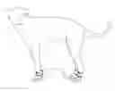 Fig. 01 - CANINE PROTECTIVE BOOT