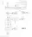 Fig. 09 - System and process for the production of syngas and fuel gasses