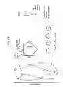 Fig. 05 - METHOD AND SYSTEM FOR TWISTING BUILDING STRUCTURE