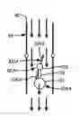 Fig. 01 - Fluid system with gravity controlled valve