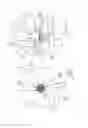 Fig. 10 - Hydrostatic positive displacement machine
