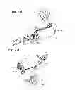 Fig. 02 - Piston damper