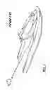 Fig. 02 - Skier controlled watercraft