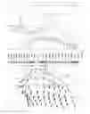 Fig. 04 - Hydrodynamic duct of flow management at the bow of a vessel