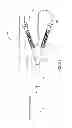 Fig. 28 - Medical devices and methods of making and using such devices