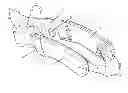 Fig. 01 - MIDDLE DISK OF SUNSHADE UMBRELLAS