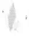 Fig. 02 - SHINGLE-LIKE PHOTOVOLTAIC MODULES