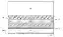 Fig. 01 - Patterned Transparent Photovoltaic Backsheet