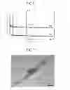 Fig. 08 - POROUS STRUCTURE BODY AND METHOD FOR PRODUCING THE SAME