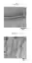 Fig. 10 - POROUS STRUCTURE BODY AND METHOD FOR PRODUCING THE SAME