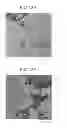 Fig. 12 - POROUS STRUCTURE BODY AND METHOD FOR PRODUCING THE SAME