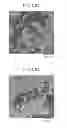 Fig. 13 - POROUS STRUCTURE BODY AND METHOD FOR PRODUCING THE SAME