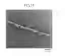 Fig. 19 - POROUS STRUCTURE BODY AND METHOD FOR PRODUCING THE SAME