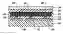 Fig. 01 - ASSEMBLY FOR BACK CONTACT  PHOTOVOLTAIC MODULE