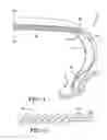Fig. 02 - OVERLAY PLY FOR A PNEUMATIC TIRE