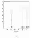 Fig. 09 - Foaming composition with wettability modifying and corrosion inhibitory properties for high temperature and ultra-high salinity