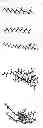 Fig. 46 - Foaming composition with wettability modifying and corrosion inhibitory properties for high temperature and ultra-high salinity