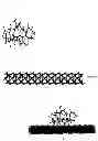 Fig. 49 - Foaming composition with wettability modifying and corrosion inhibitory properties for high temperature and ultra-high salinity