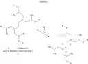 Fig. 03 - Use of oligo-quaternary compositions to increase scale inhibitor lifetime in a subterranean formation