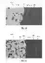 Fig. 09 - Insulator for a feedthrough