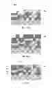 Fig. 21 - Methods of and apparatus for electrochemically fabricating structures via interlaced layers or via selective etching and filling of voids