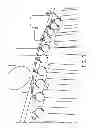 Fig. 07 - DISPLAY DEVICE