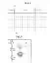 Fig. 06 - Electronic induction heating cooker and output level control method thereof