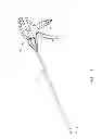 Fig. 02 - Surgical device with tandem fasteners