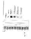 Fig. 197 - System and method for radioactive emission measurement