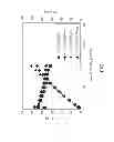 Fig. 02 - LOW DROOP LIGHT EMITTING DIODE STRUCTURE ON GALLIUM NITRIDE SEMIPOLAR SUBSTRATES